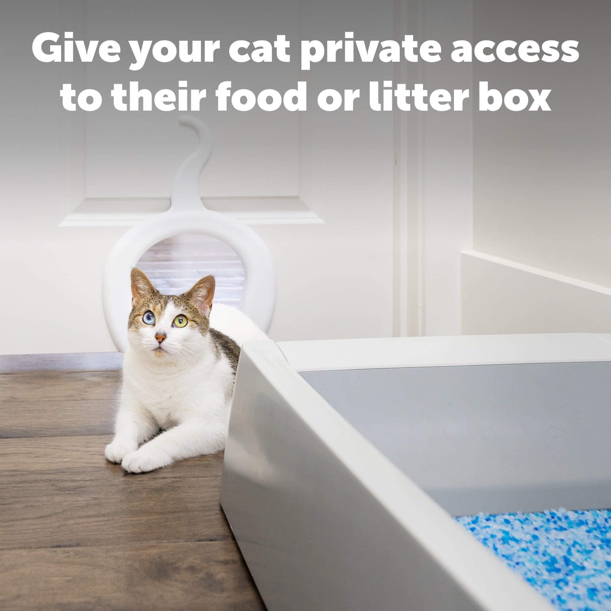 Amazon.co.jp: PetSafe 錆びない 屋内 猫 ドア - 室内ドア用
